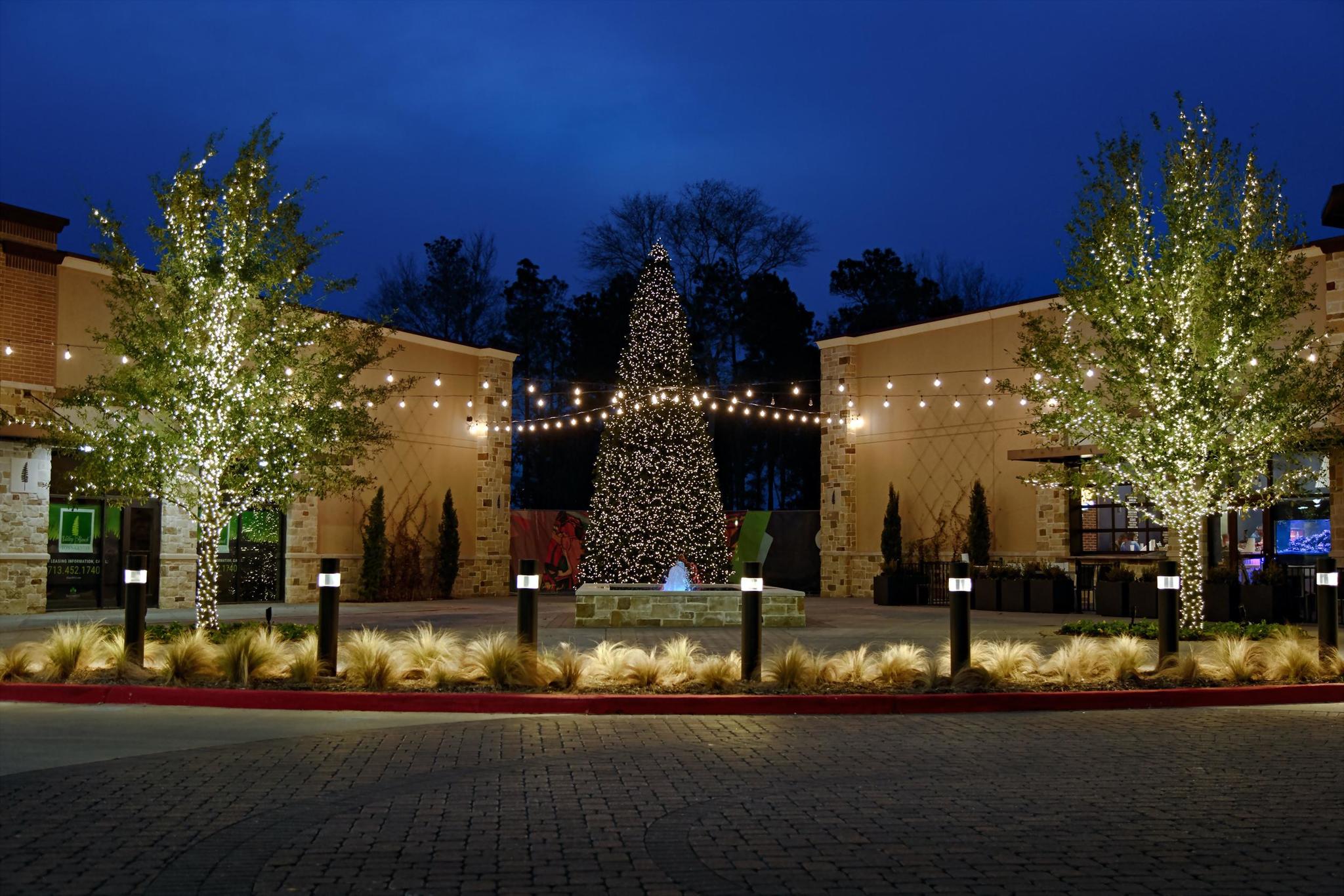 The Best Christmas Light Installations in Houston, TX
