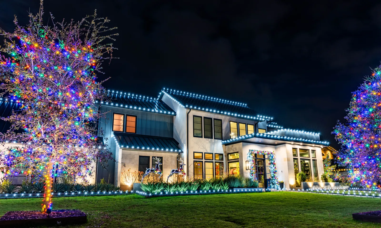 Christmas lighting design with a clean cool white roofline outline and trees wrapped in multicolor lights