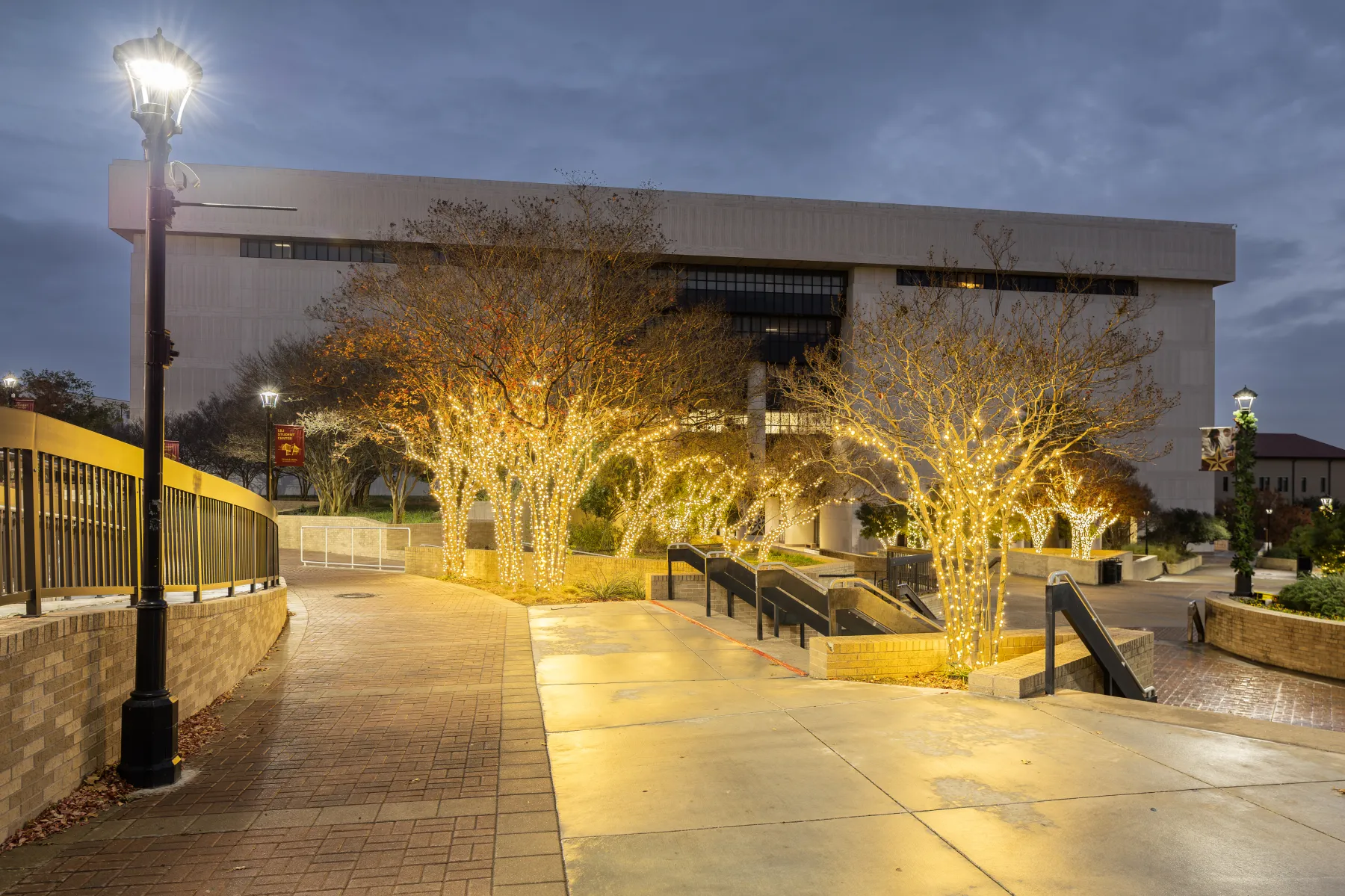 TSU Alkek Library holiday lighting installation