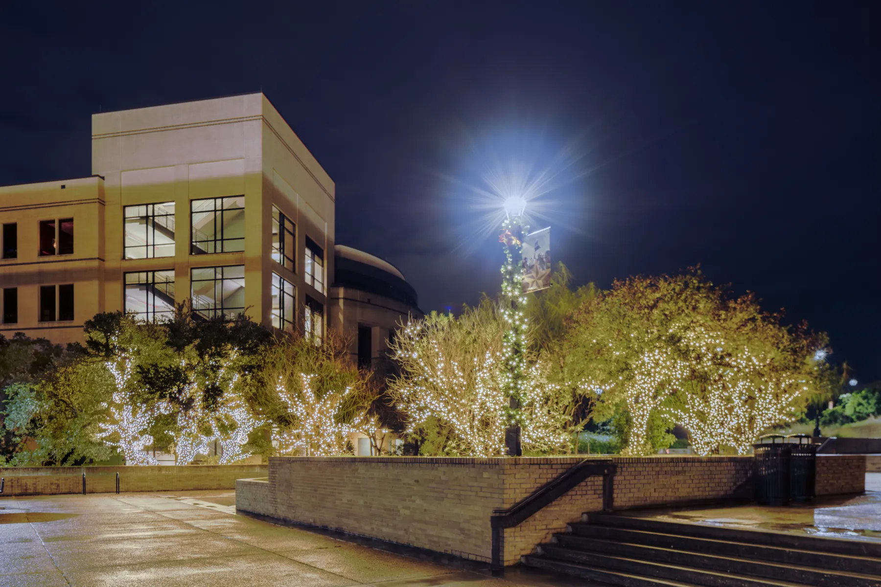 TSU McCoy Hall commercial Christmas lighting