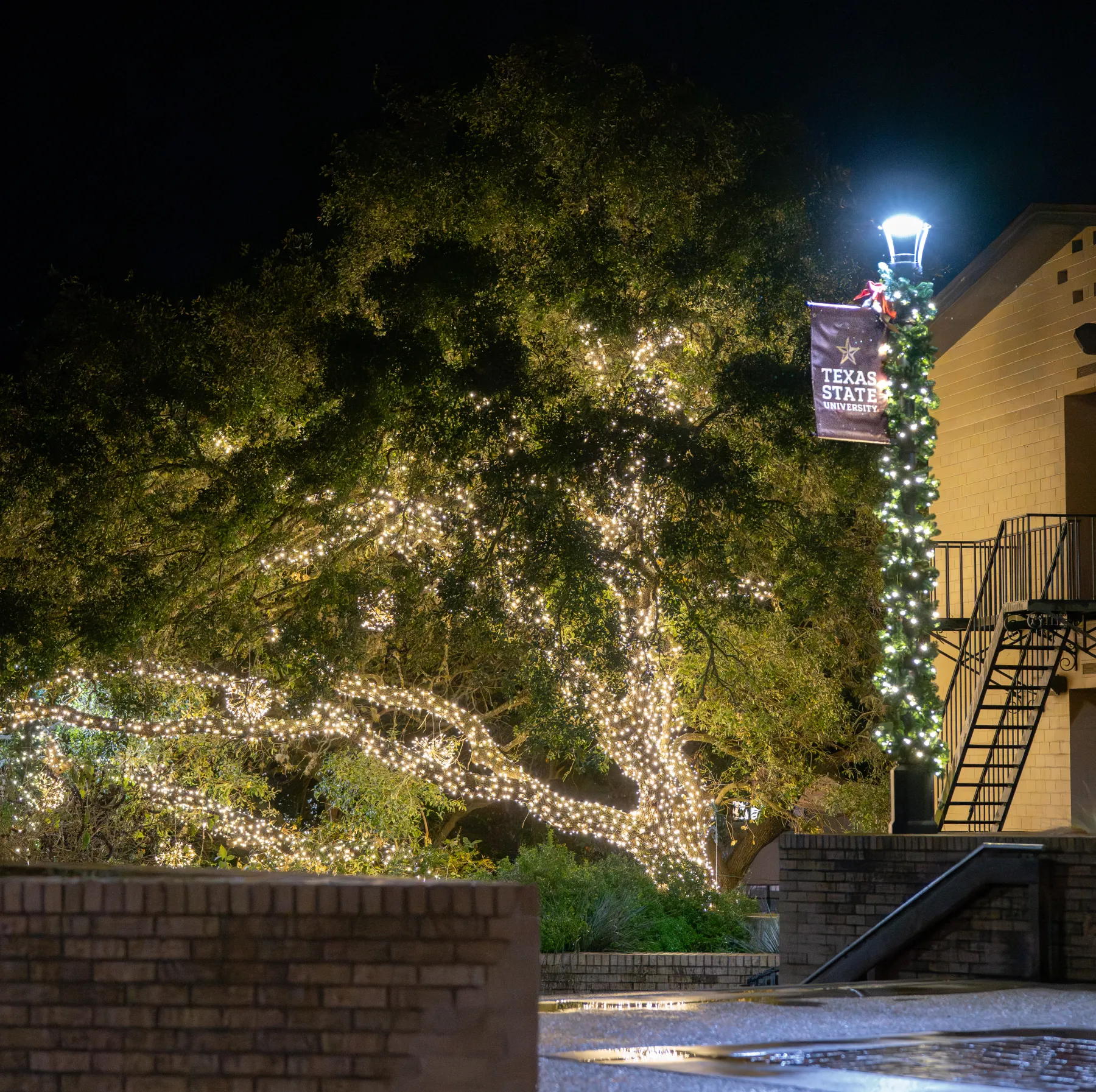 Texas State University campus Christmas lighting display