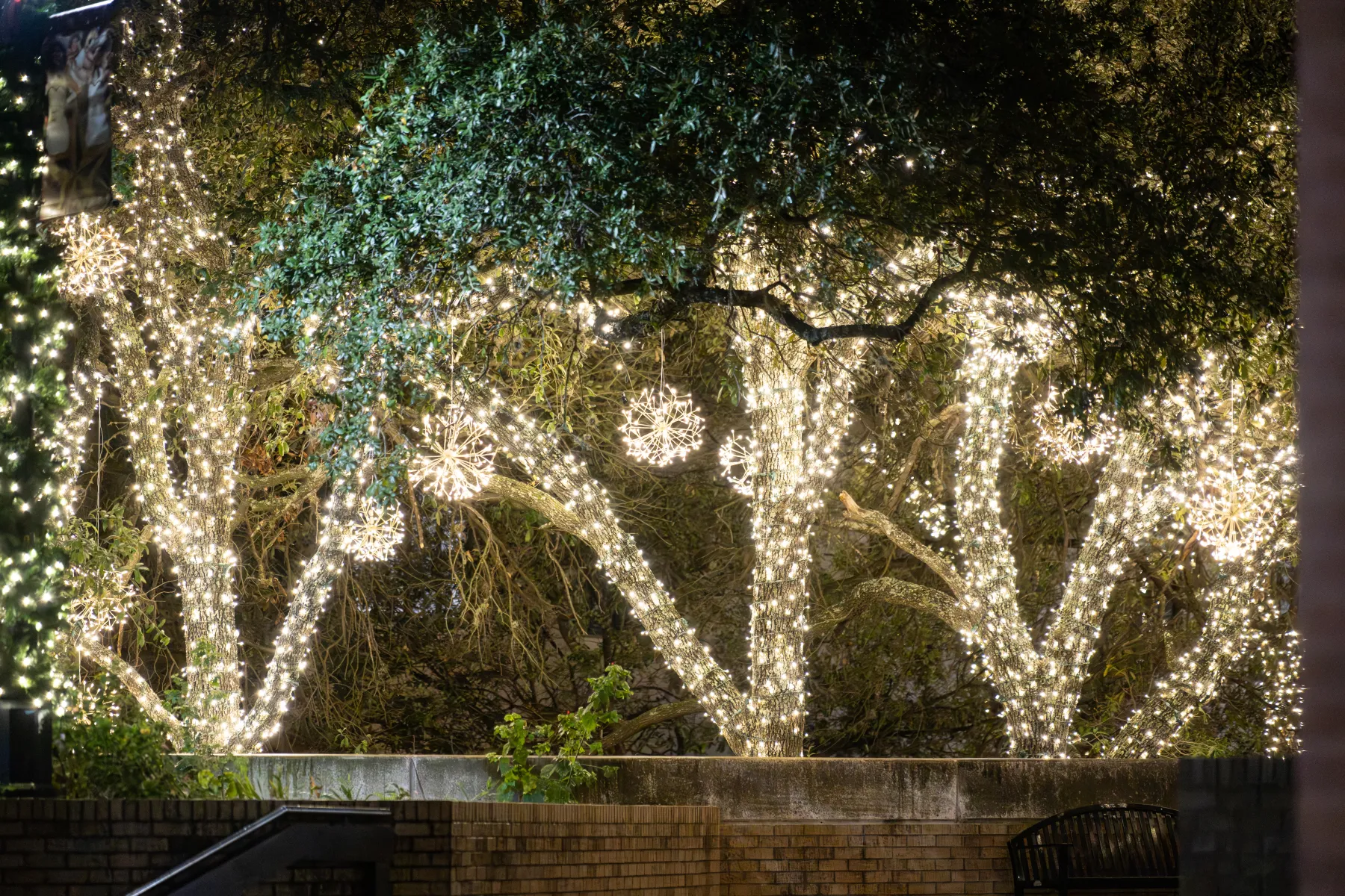 University campus commercial Christmas light installation