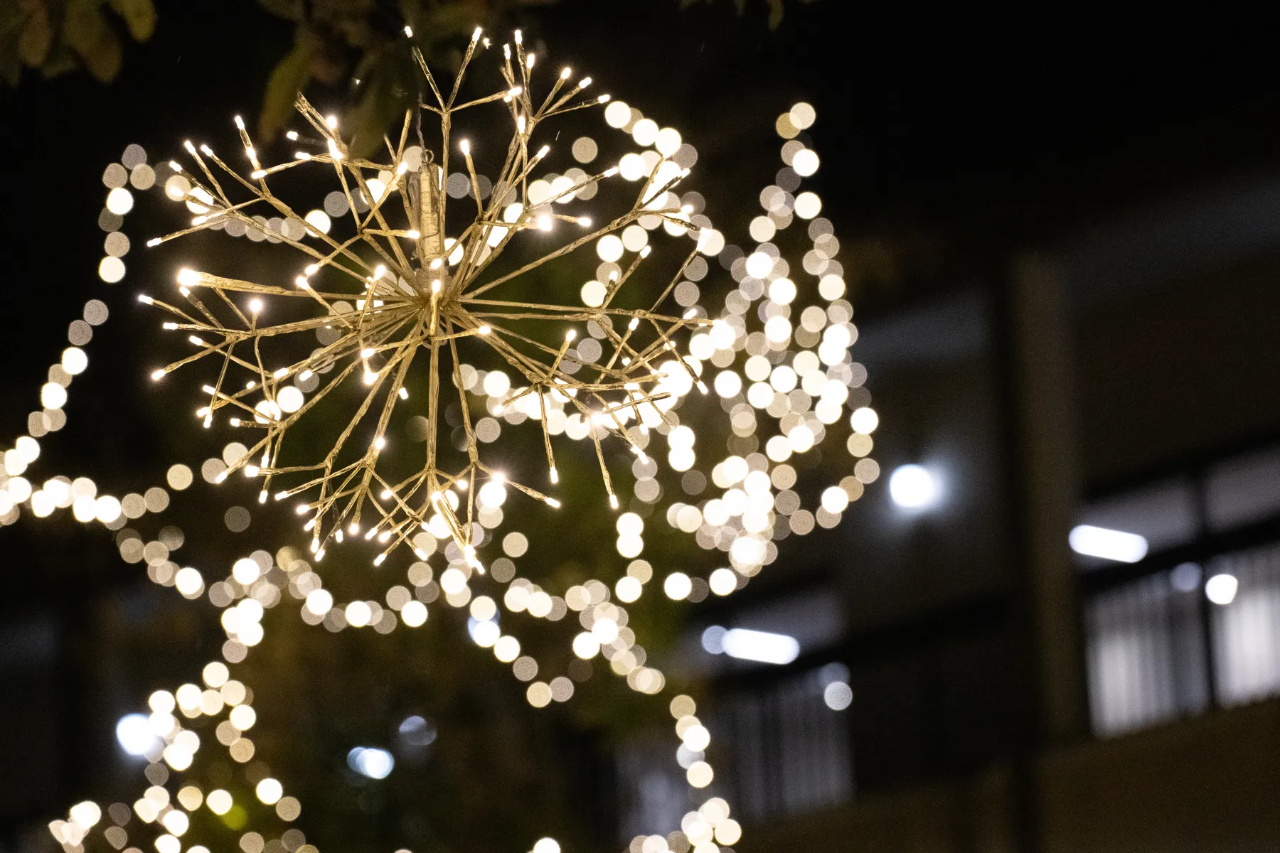 Campus building holiday lighting by The Perfect Light