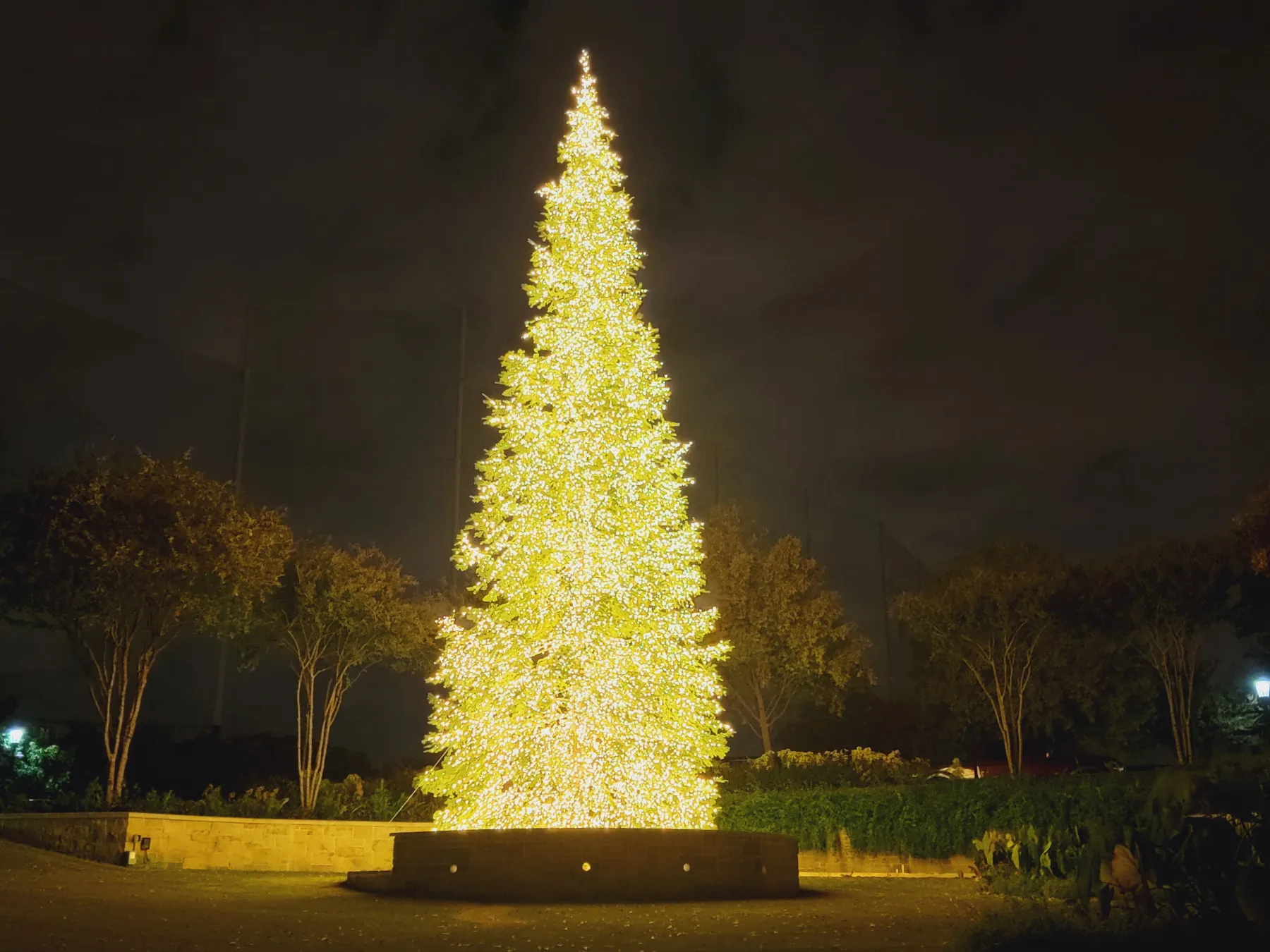 55-foot fully wrapped Christmas tree for a commercial property