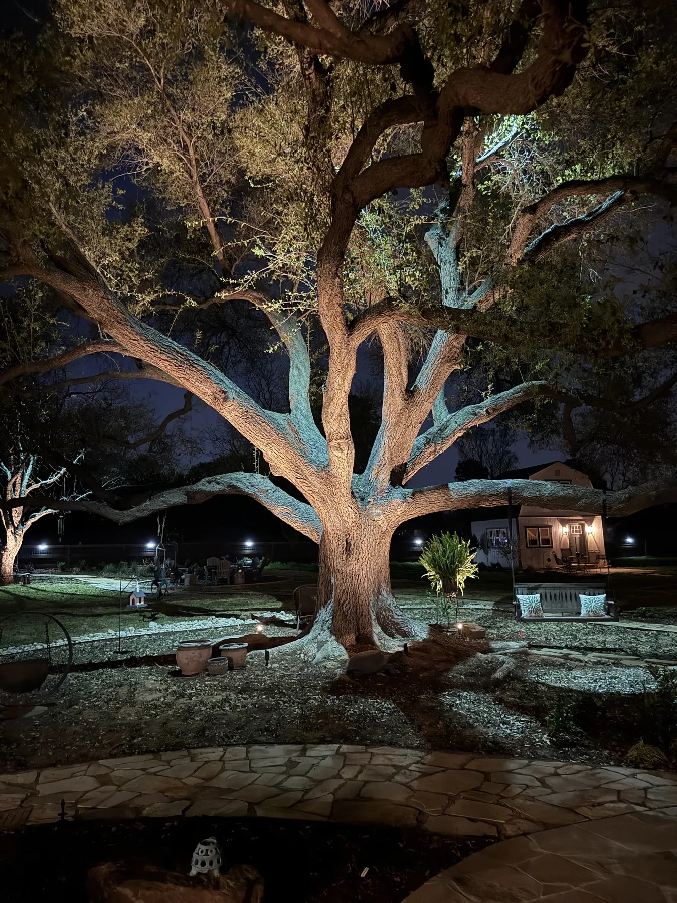 Moonlighting landscape lighting through tree canopy on a Texas home