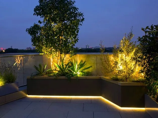 Modern outdoor living lighting with Central Texas plants