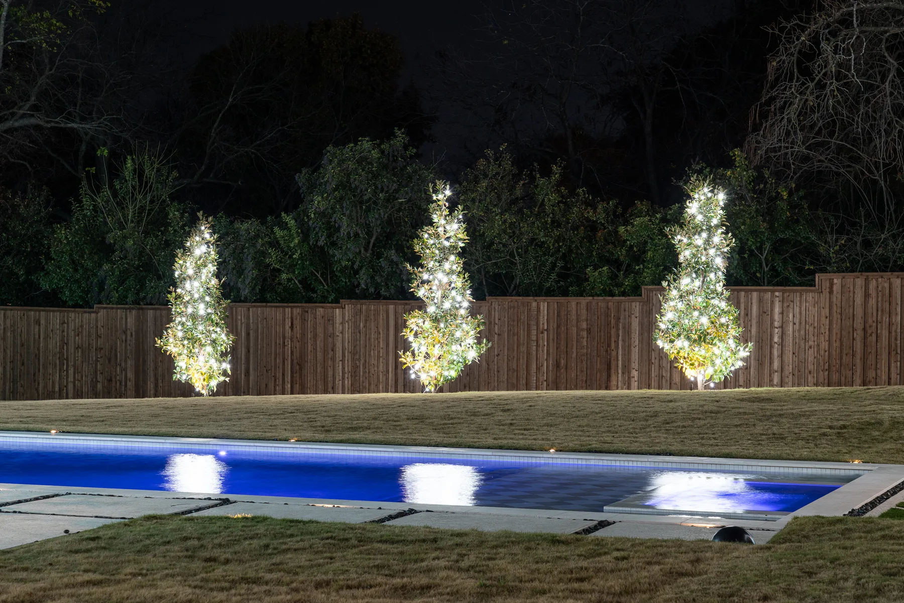 Festive outdoor Christmas lighting on a Texas home — photo 2
