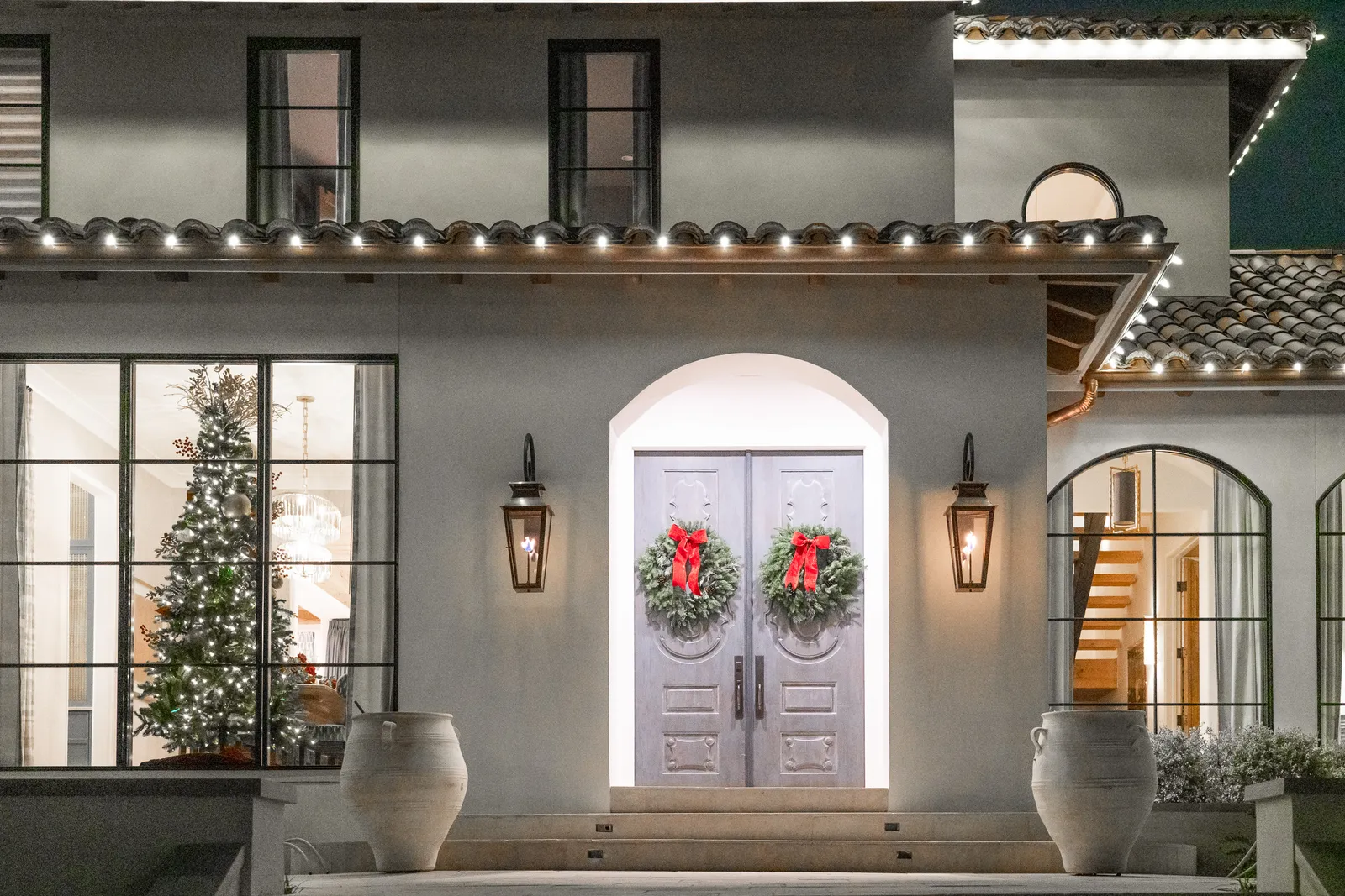Tree and shrub Christmas lighting display