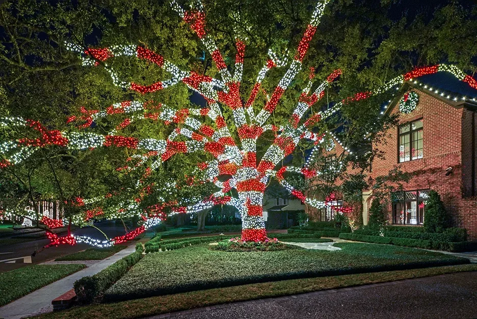 The Perfect Light Christmas lighting on a massive fully wrapped Texas tree with red and white lights in front of a brick home at night