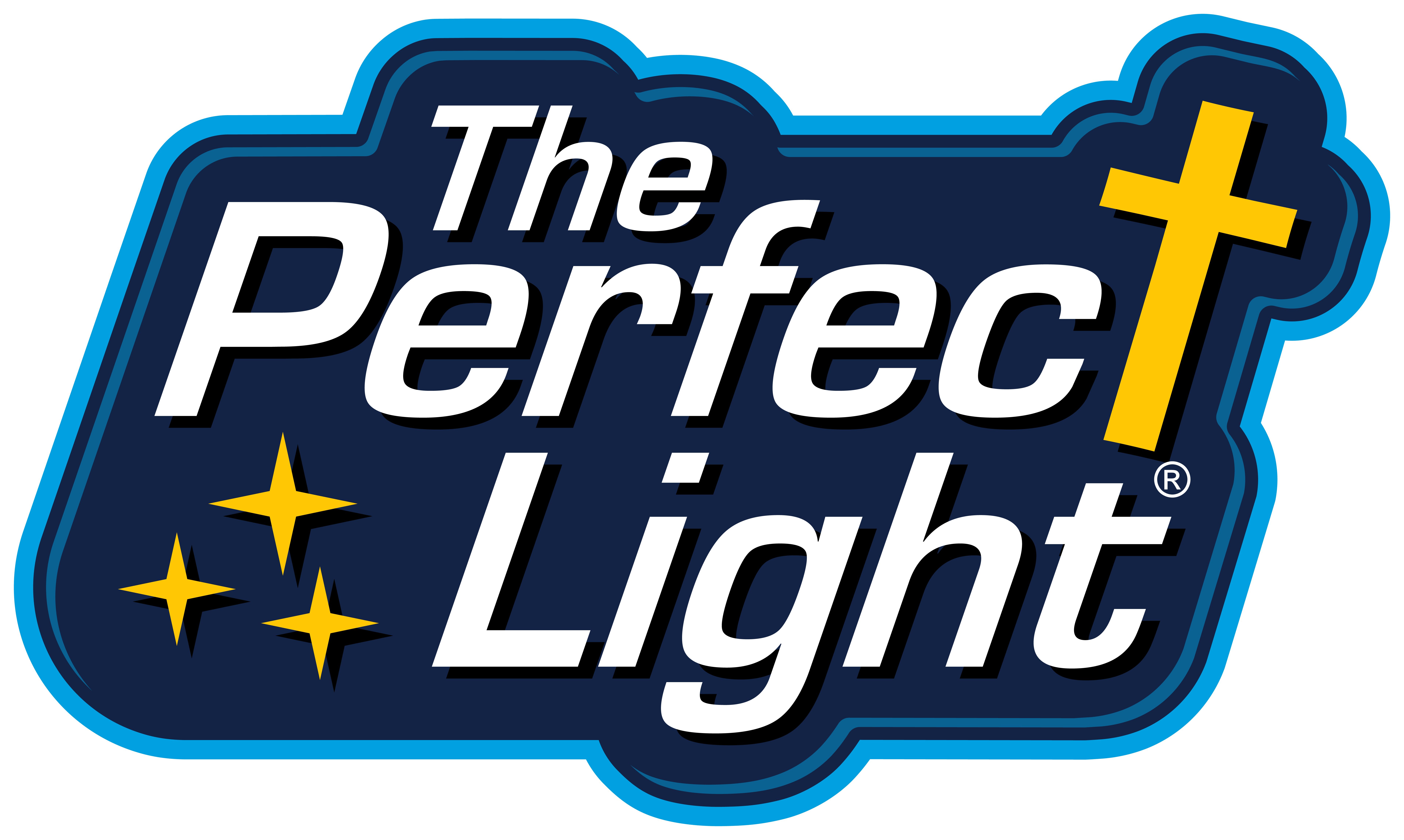 The Perfect Light logo - outdoor, holiday, and landscape lighting services in Texas