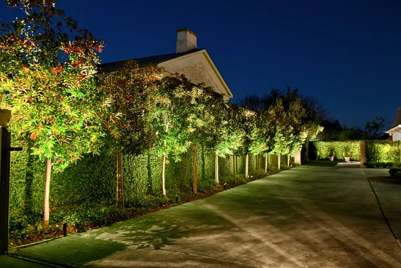 Landscape & Holiday Lighting Round Rock — outdoor lighting project by The Perfect Light — photo 6